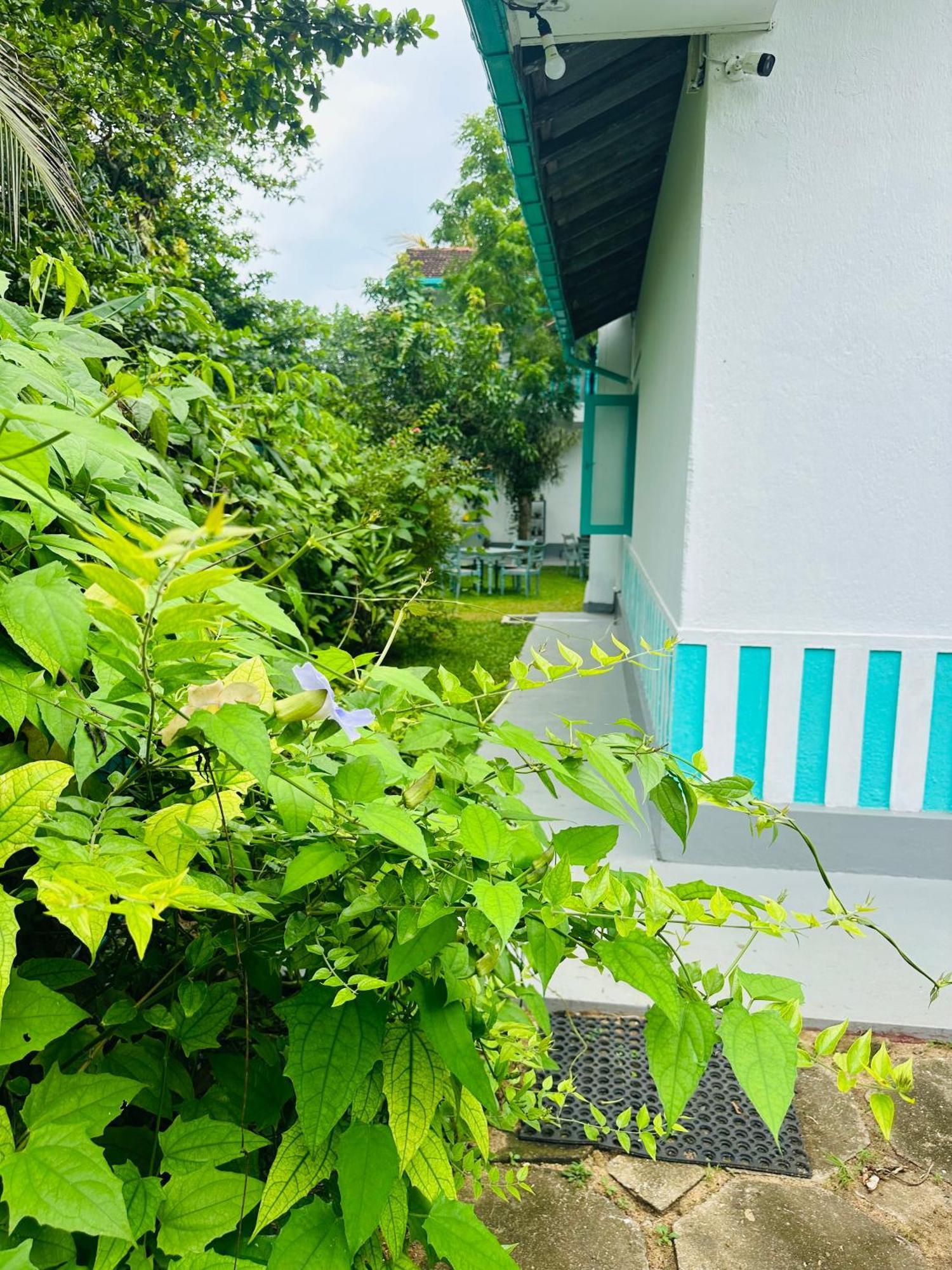 Villa 47 Hikkaduwa Εξωτερικό φωτογραφία